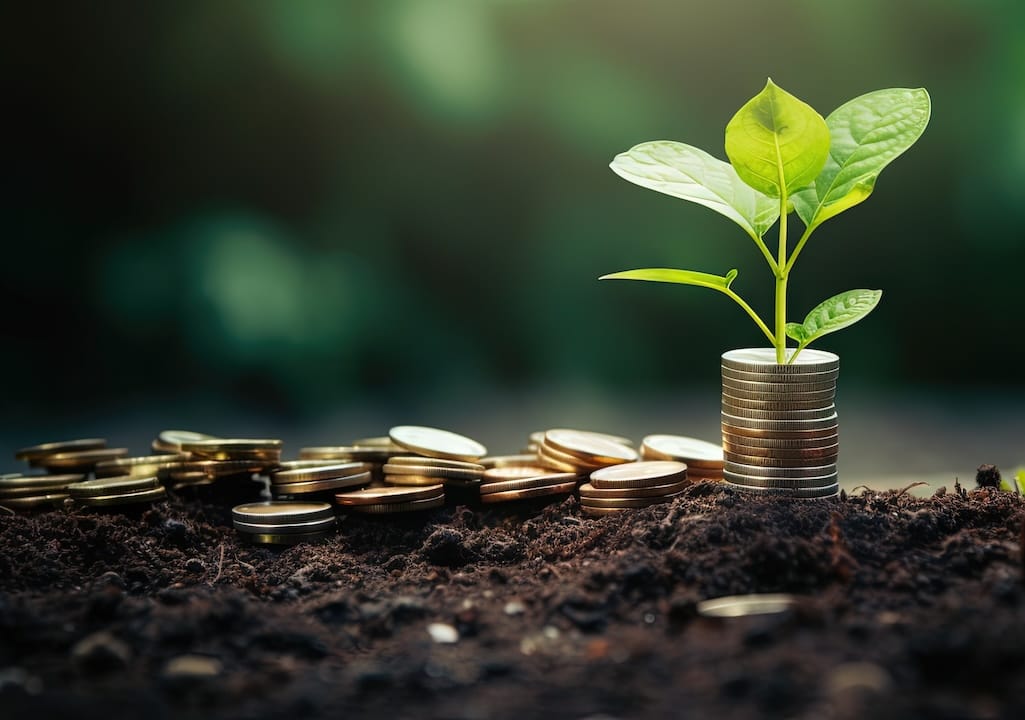 risparmio con Bonus Stufe a Pellet e Legna 2026